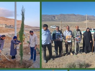 کاشت ۱۰۰۰ نهال به یاد شهدا