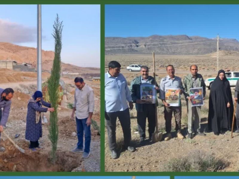 کاشت ۱۰۰۰ نهال به یاد شهدا