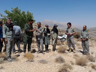 احیای گوزن زرد ایرانی در سرچهان فارس